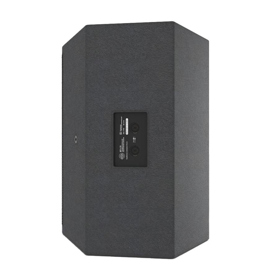 Акустическая система коаксиального типа АВРОРА С8